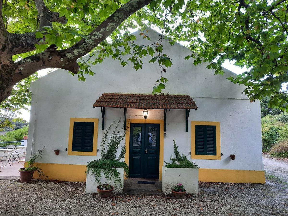 Montejunto Villas - Casa Do Platano Cadaval Bagian luar foto
