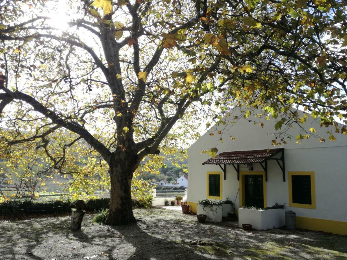 Montejunto Villas - Casa Do Platano Cadaval Bagian luar foto