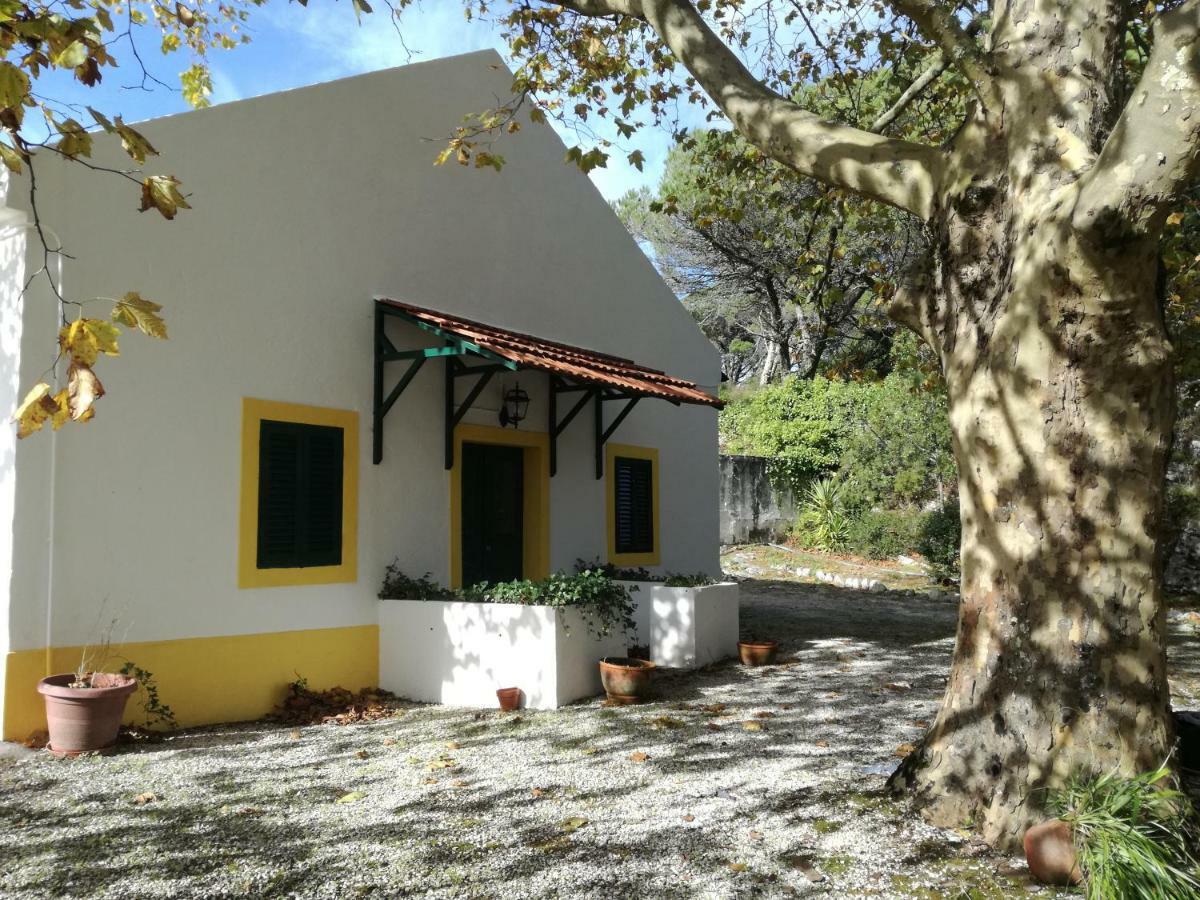 Montejunto Villas - Casa Do Platano Cadaval Bagian luar foto