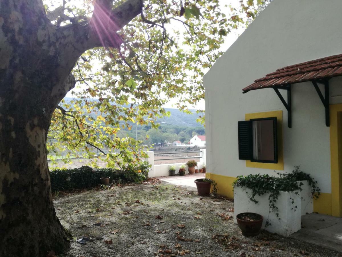 Montejunto Villas - Casa Do Platano Cadaval Bagian luar foto